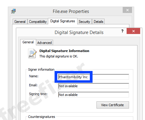 Screenshot of the Phantombility Inc certificate
